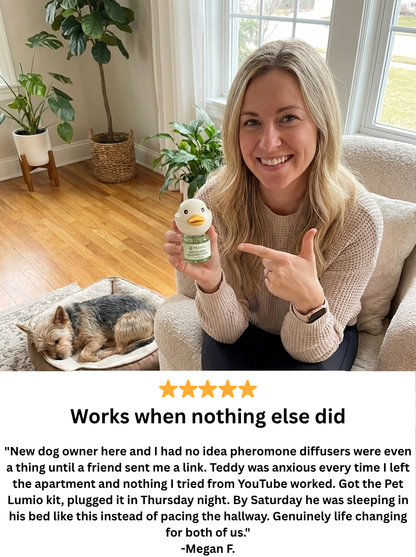Pet Lumio Dog Calming Diffuser Kit - Starter Pack (1 Diffuser + 2 Refills, 60 Day Supply)