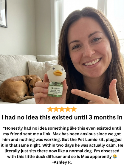 Pet Lumio Dog Calming Diffuser Kit - Starter Pack (1 Diffuser + 2 Refills, 60 Day Supply)